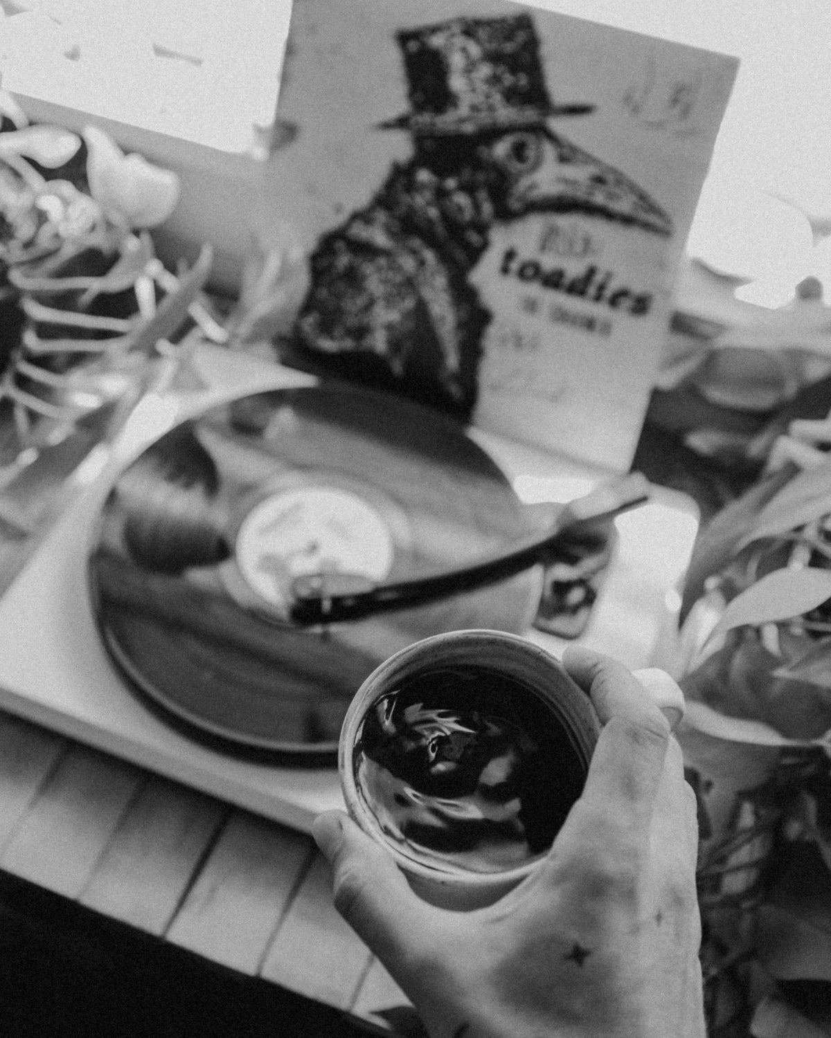 The Charmer Blend | The Toadies x Palace Coffee - Palace Coffee Co. - Wholebean