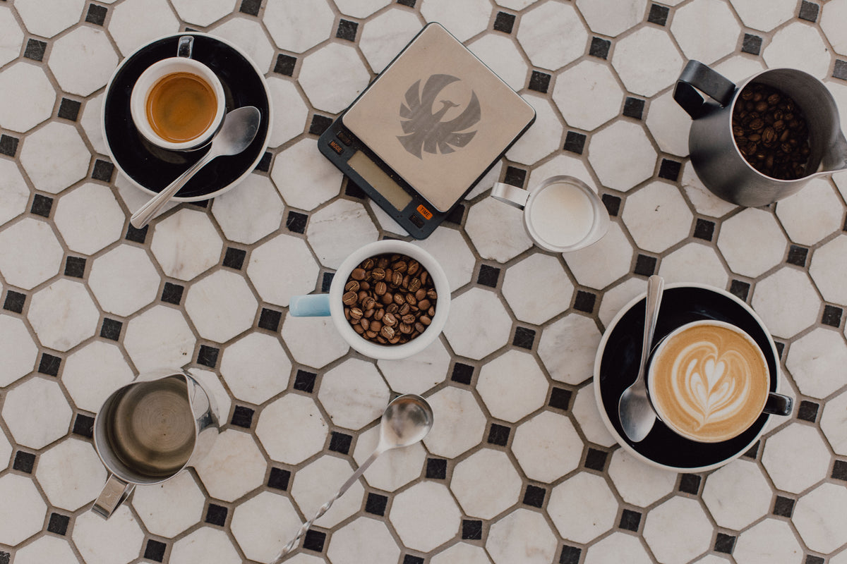 We are Hosting Coffee Champs! - Palace Coffee Co.