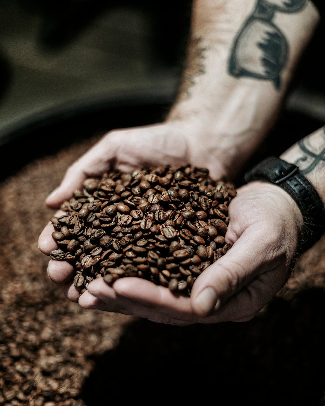 SINGLE ORIGINS - Palace Coffee Co.