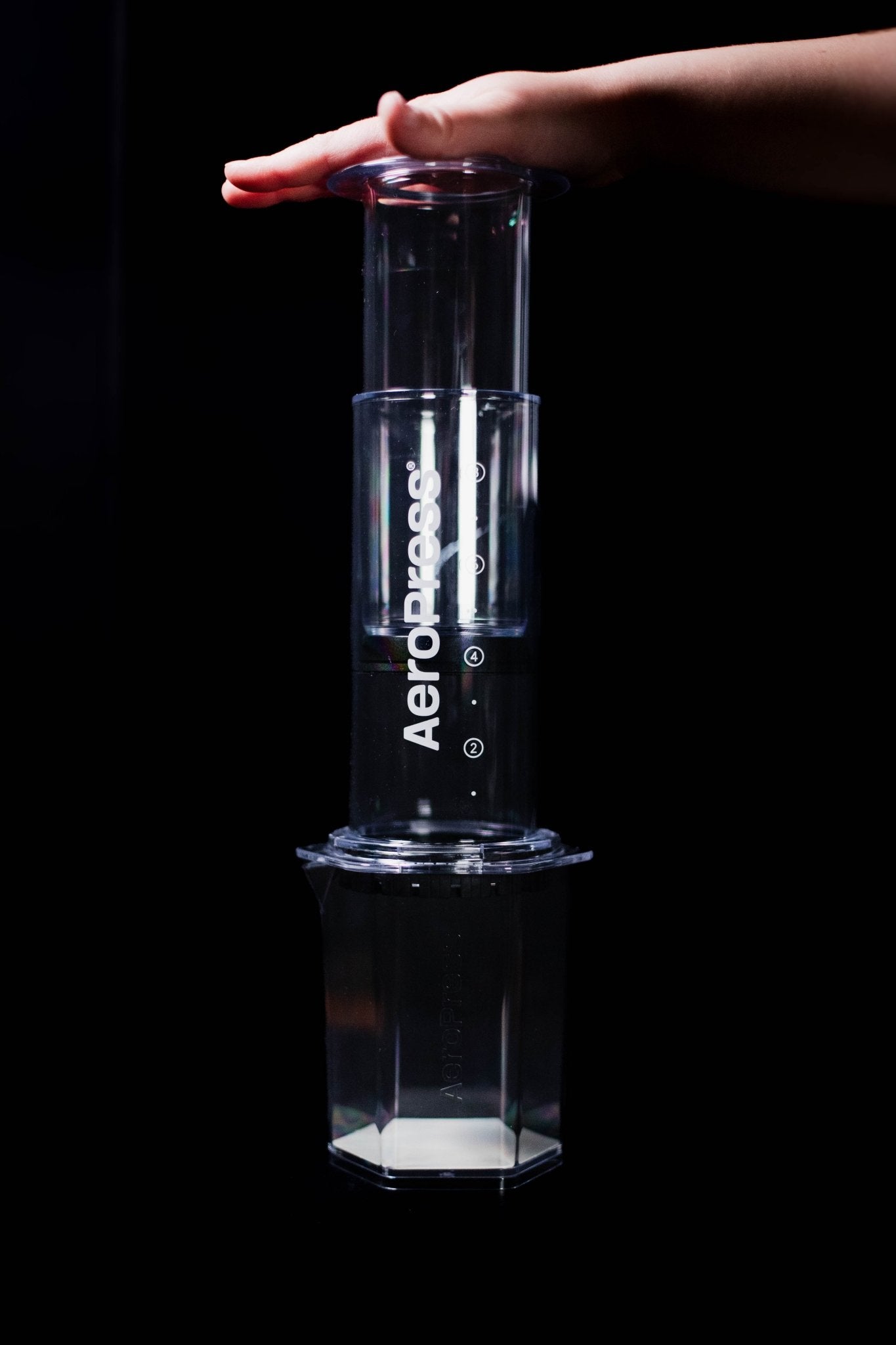 AEROPRESS XL - Palace Coffee Co. - 