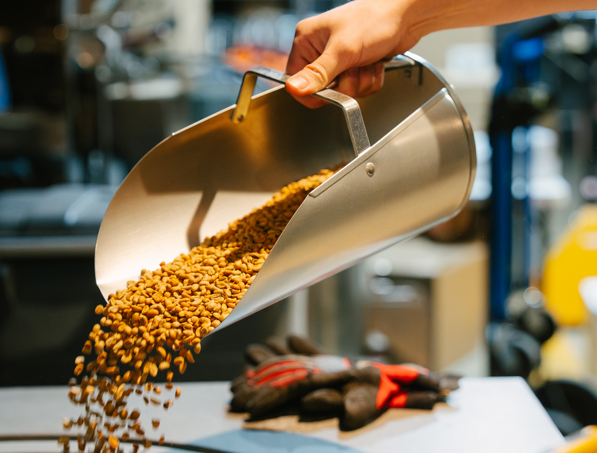 Hand using a metal scoop to pour coffee beans into a basin with a blurred background.