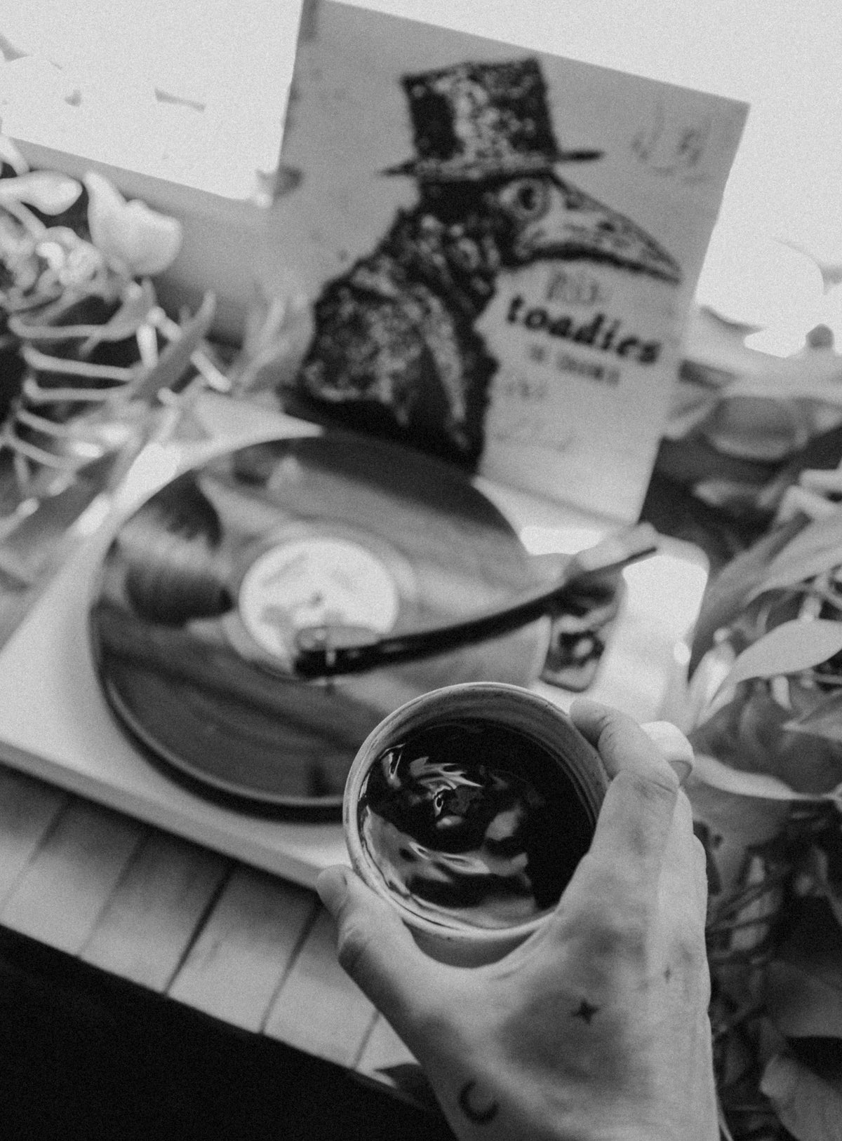 The Charmer Blend | The Toadies x Palace Coffee