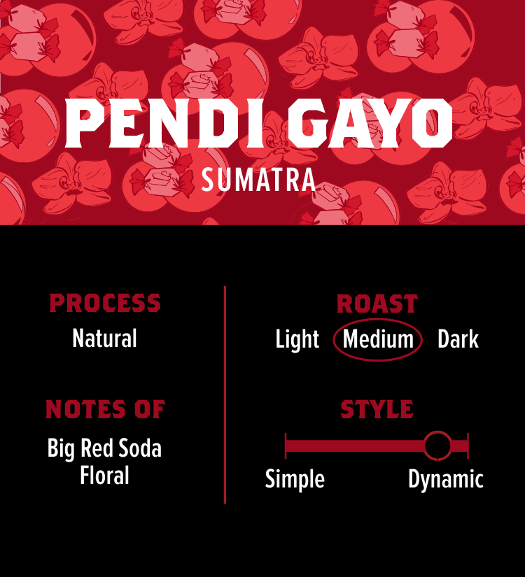 Pendi Gayo - Feature coffee